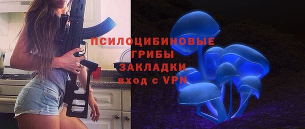 трава Медногорск