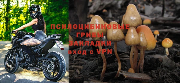 трава Медногорск
